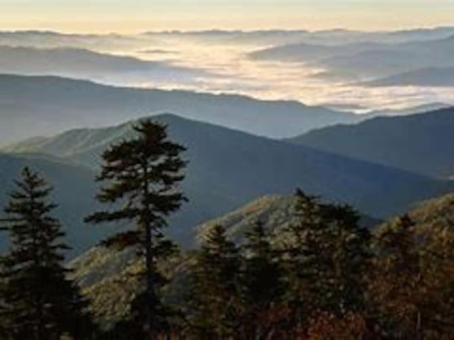 1 Mi To Dollywood Mins To All Attractions & Gsmnp Сивиървил Екстериор снимка