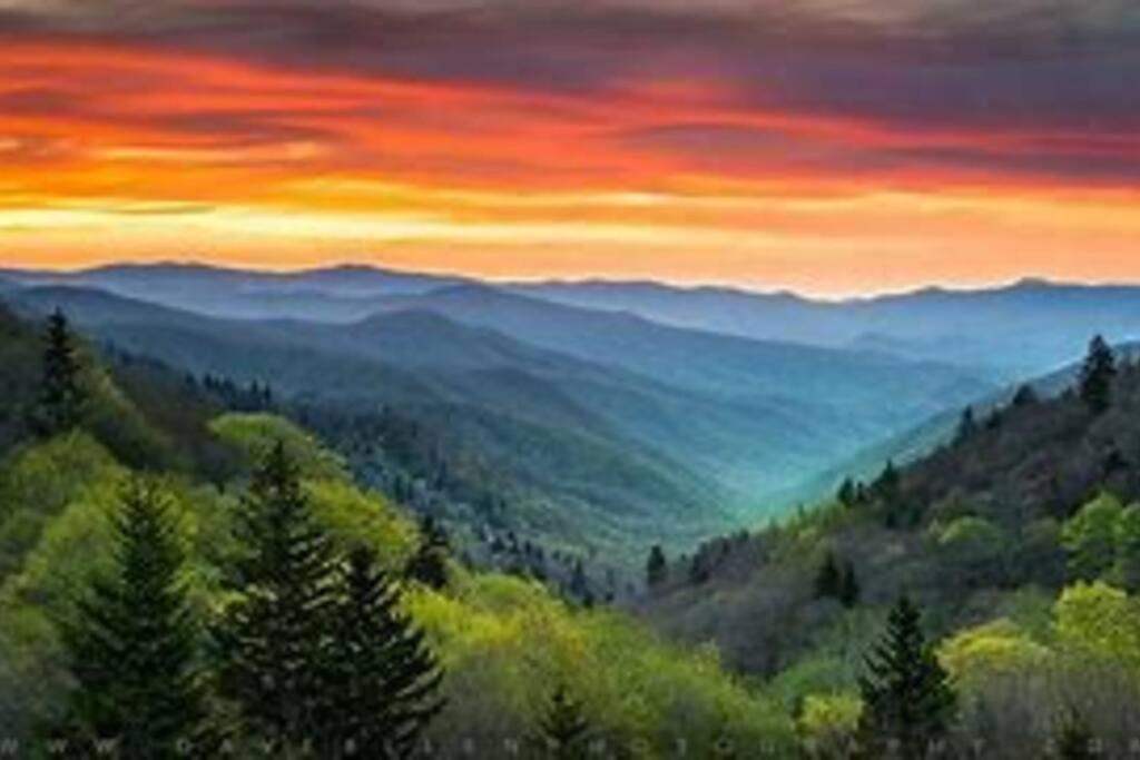 1 Mi To Dollywood Mins To All Attractions & Gsmnp Сивиървил Екстериор снимка